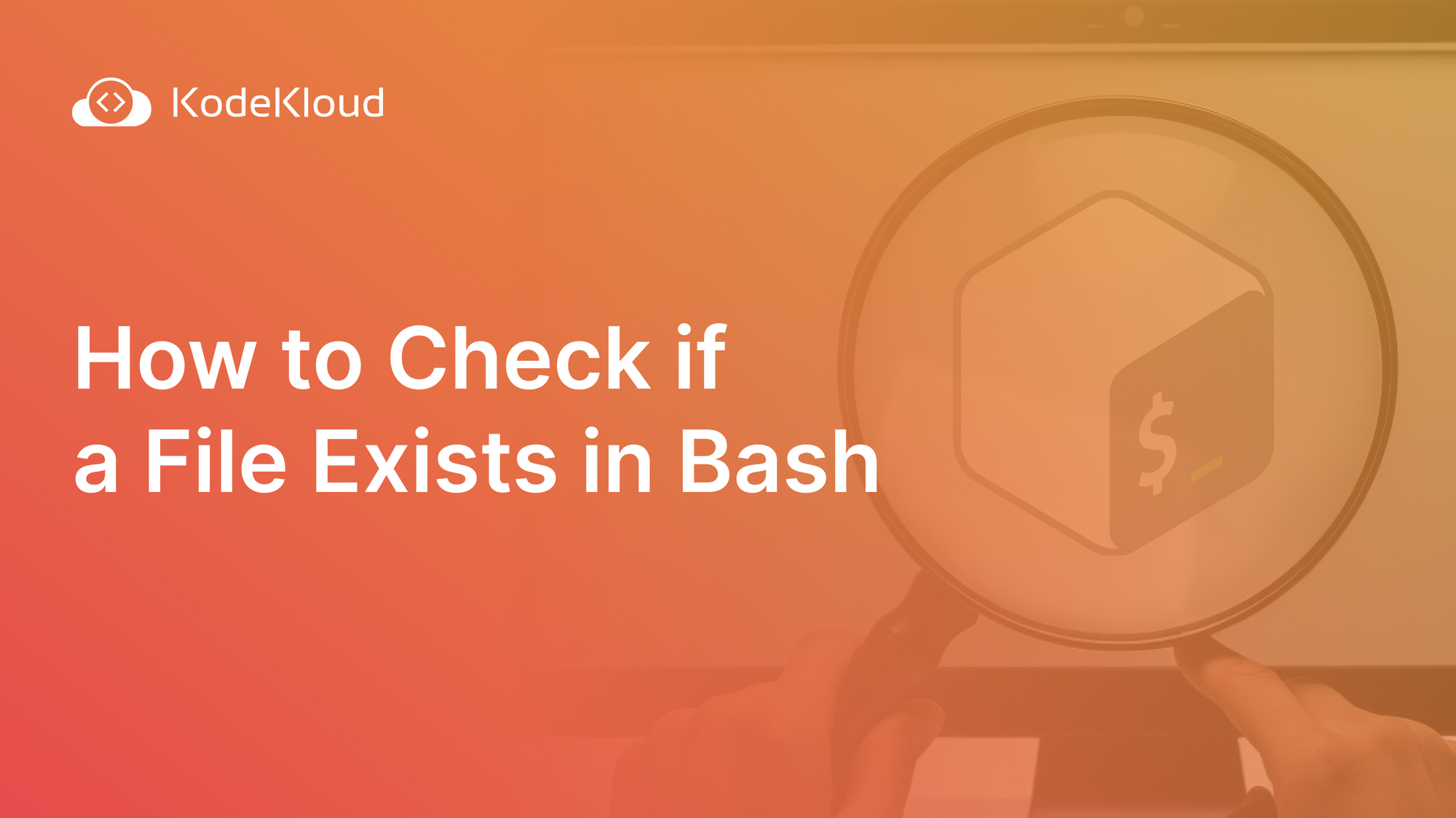 How to Check if a File Exists in Bash