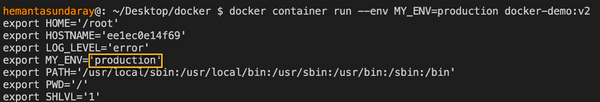 How to Pass Environment Variables to Docker Containers