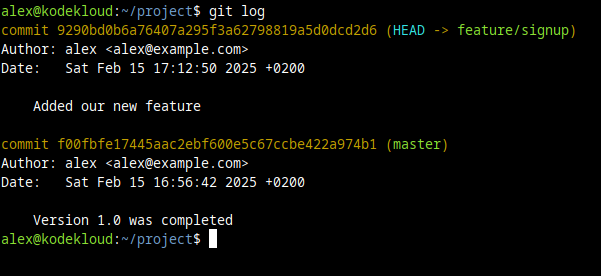 How to Create a New Branch in Git (Step-by-Step Guide with Examples)