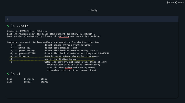 Linux - Read and Use System Documentation