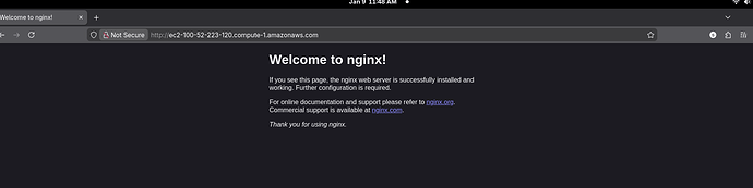 nginx