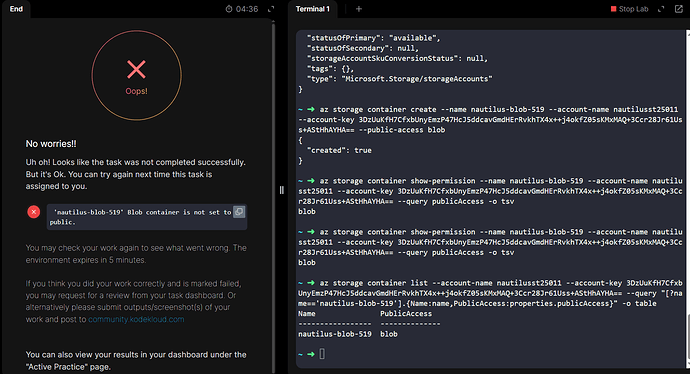Public Access Container