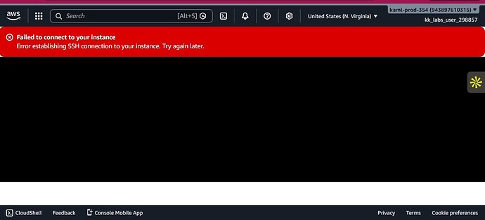 AWS instance fail