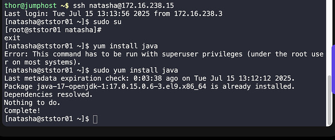 Screenshot 2025-07-15 at 15.16.58