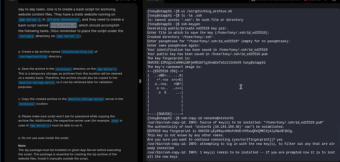bash-script-1