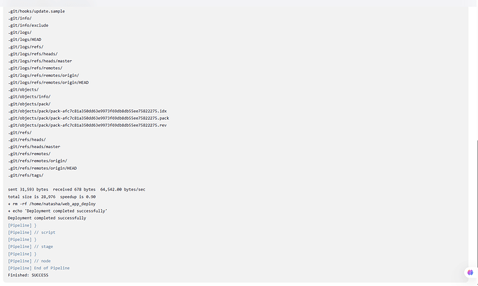 console_output_1