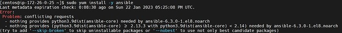 Ansible error.jpg