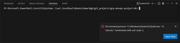 wsl_error