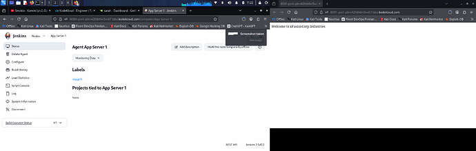 Screenshot_2026-06-01_11_22_01