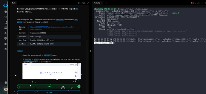 nginx1