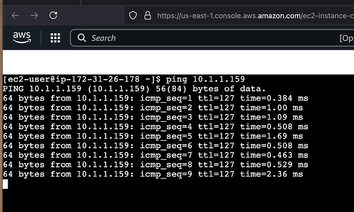 Screenshot Public EC2 Pinging Private EC2