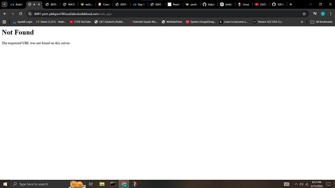 Not serving in web app api