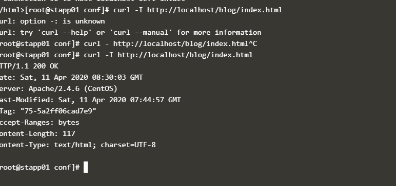 curl_output_local