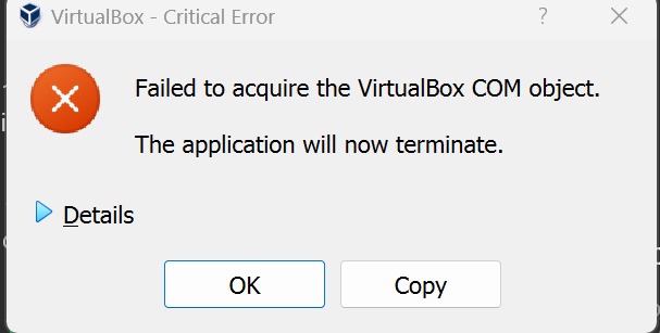 error vm