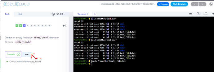 2022-07-08 10_03_46-Labs - Working your way through the CLI - KodeKloud - Brave