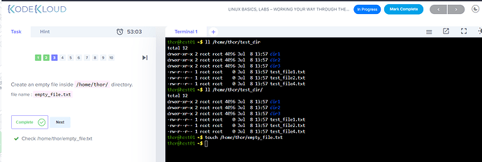 2022-07-08 10_03_46-Labs - Working your way through the CLI - KodeKloud - Brave